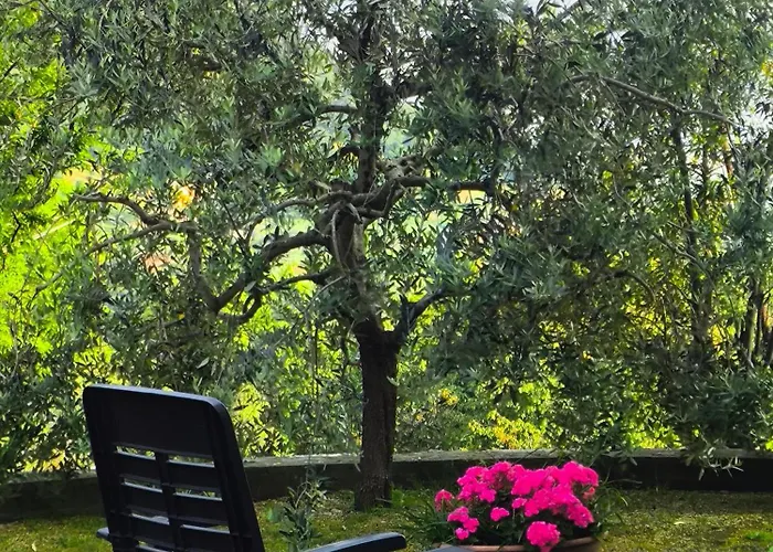 Casadolcelago Con Giardino Vista Private Parking *